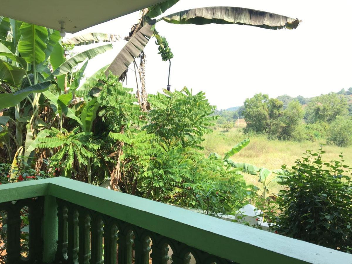 Jesant Valley Holiday Homes Candolim Kültér fotó