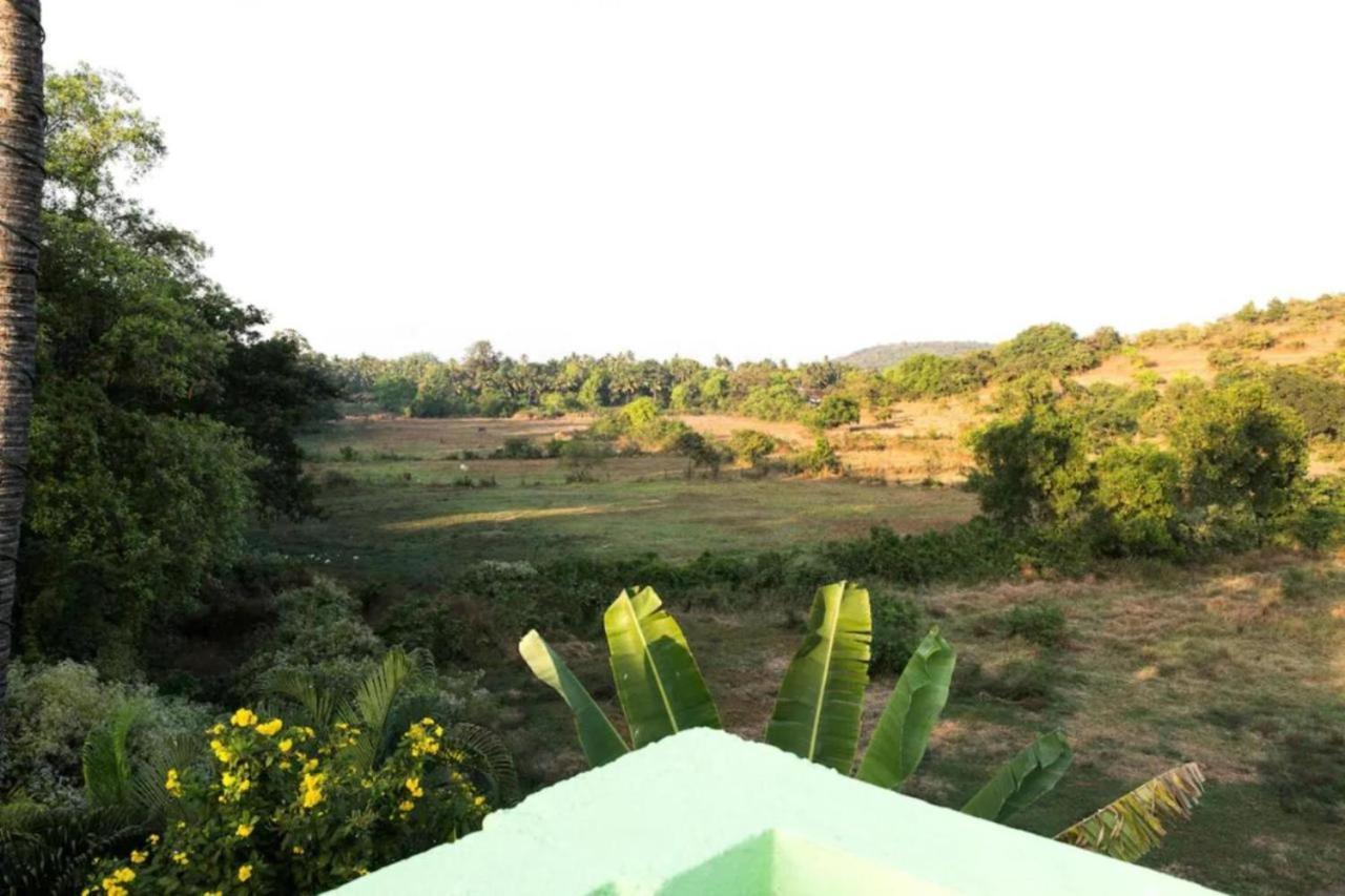 Jesant Valley Holiday Homes Candolim Kültér fotó