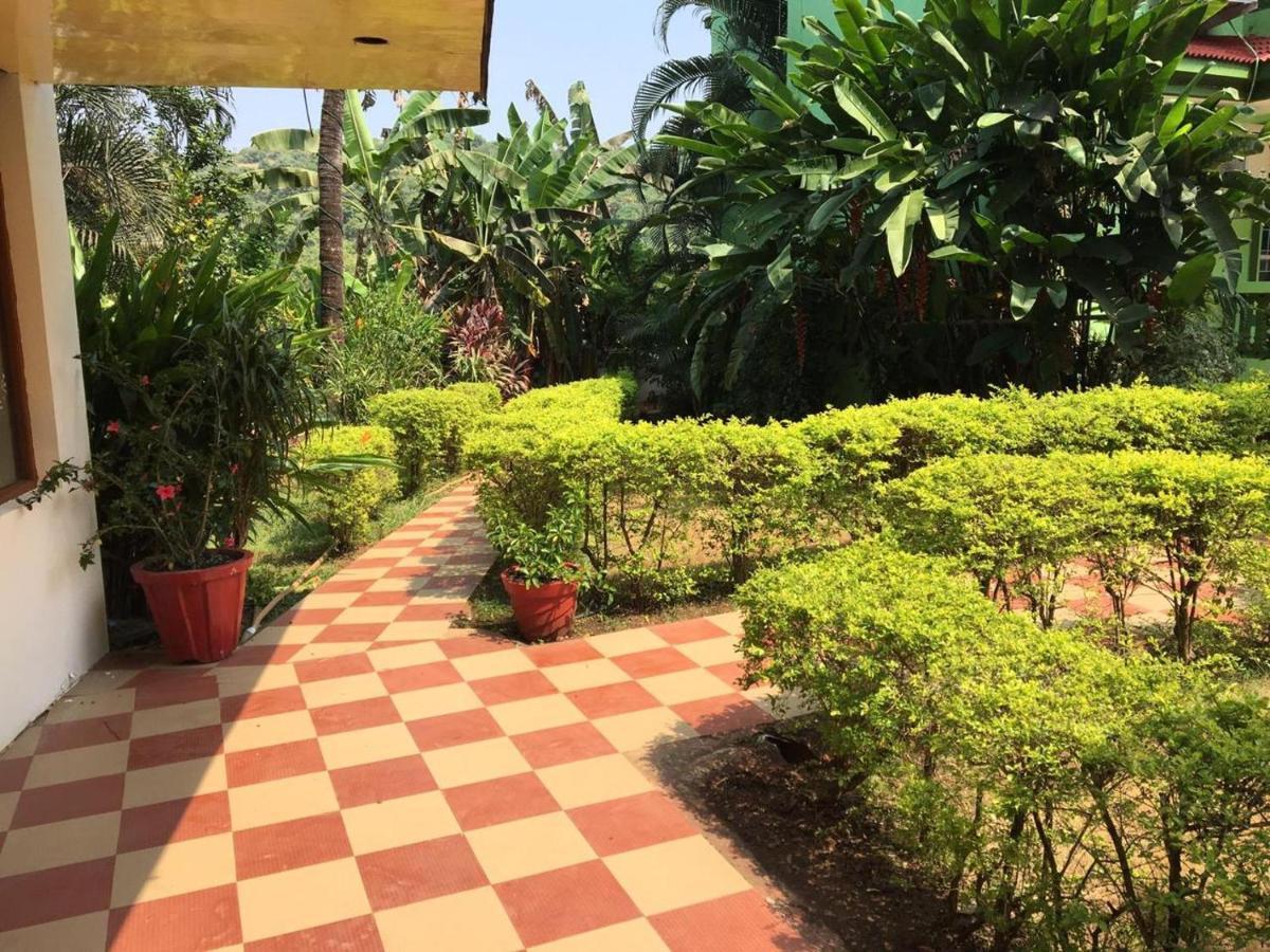 Jesant Valley Holiday Homes Candolim Kültér fotó